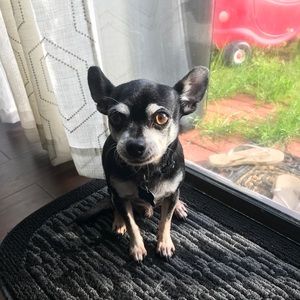 Meet your Posher, Monica